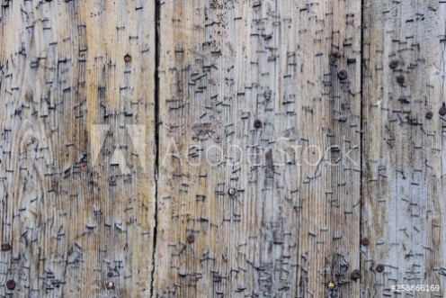 Picture of Alte Holztr mit Tackerklammern